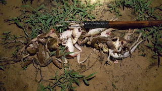 Hình từ internet Hình từ internet